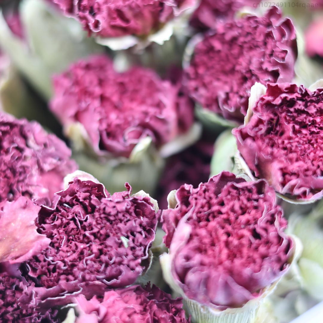 Potpourri Dried Flower - 250g/500g Premium Natural Carnation Dried Flowers