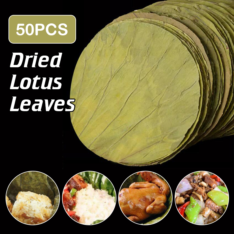 Potpourri Dried Flower - 50 Pcs Natural Dried Lotus Leaves