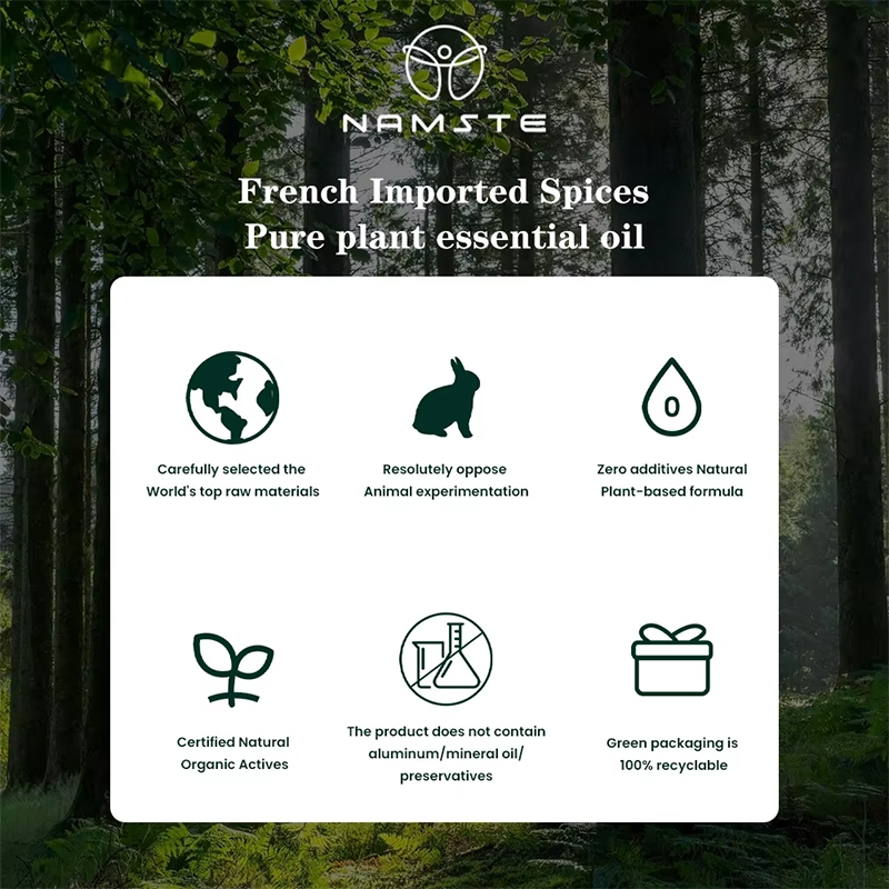NAMSTE 100ML Oil Diffuser Esse - огляд і ціна Home Fragrance Electric Diffuser